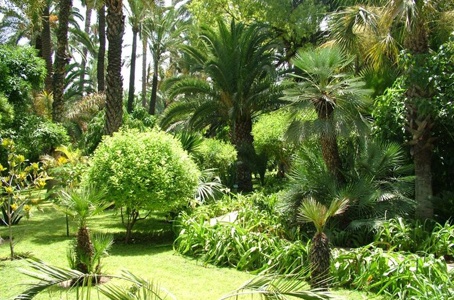 Location de voiture  Marrakech pour aller aux jardins de l'Agdal